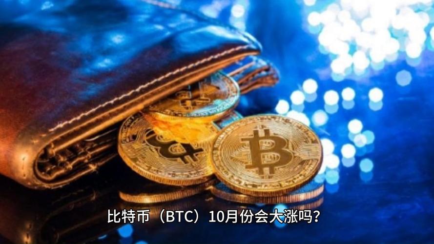 btc平台,BTC平台是干嘛的