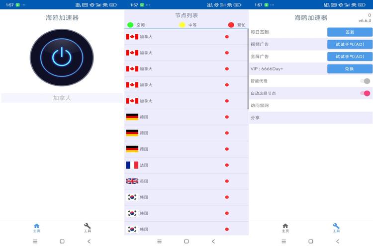 海鸥加速器v6.63,海鸥加速器664版本