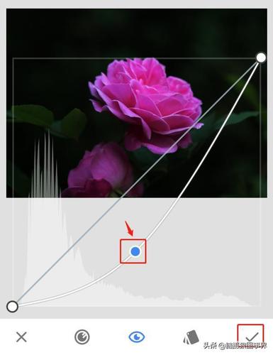 snapseed中文版,snapseed中文版最新版本