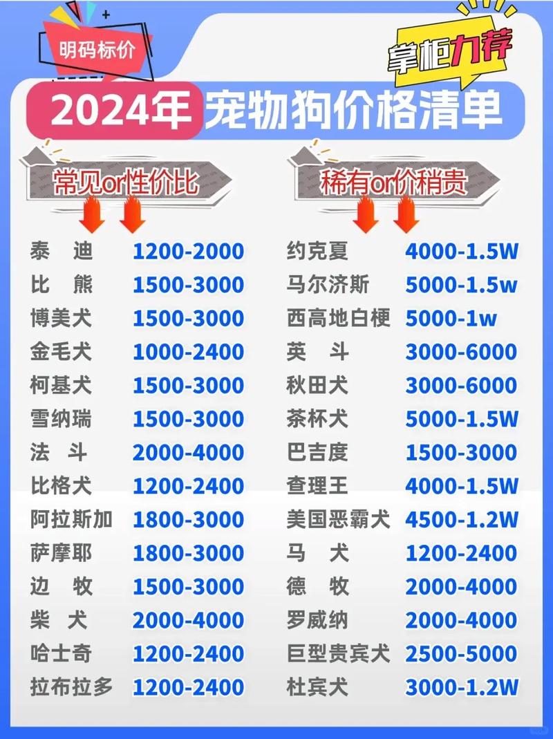 狗狗币今日价格行情多少美元,狗狗币今日价格行情多少美元一张