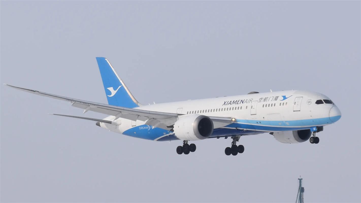 lines什么意思,Airlines什么意思