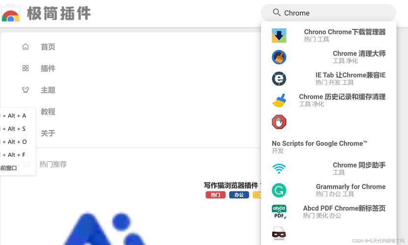 谷歌浏览器无法上网,谷歌chrome浏览器下载