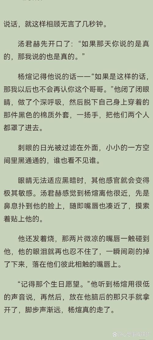 纸飞机小说简介,纸飞机 小说简介