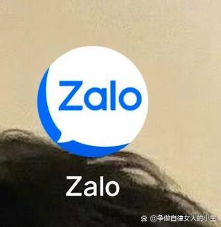 zalo越南官网网址,越南zalo是哪个公司