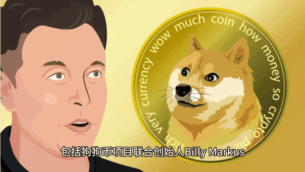 狗狗币最近动态,狗狗币暴涨逾250%