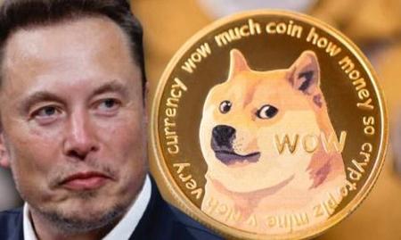狗狗币这几天为什么涨势猛,狗狗币突然暴涨的原因是什么