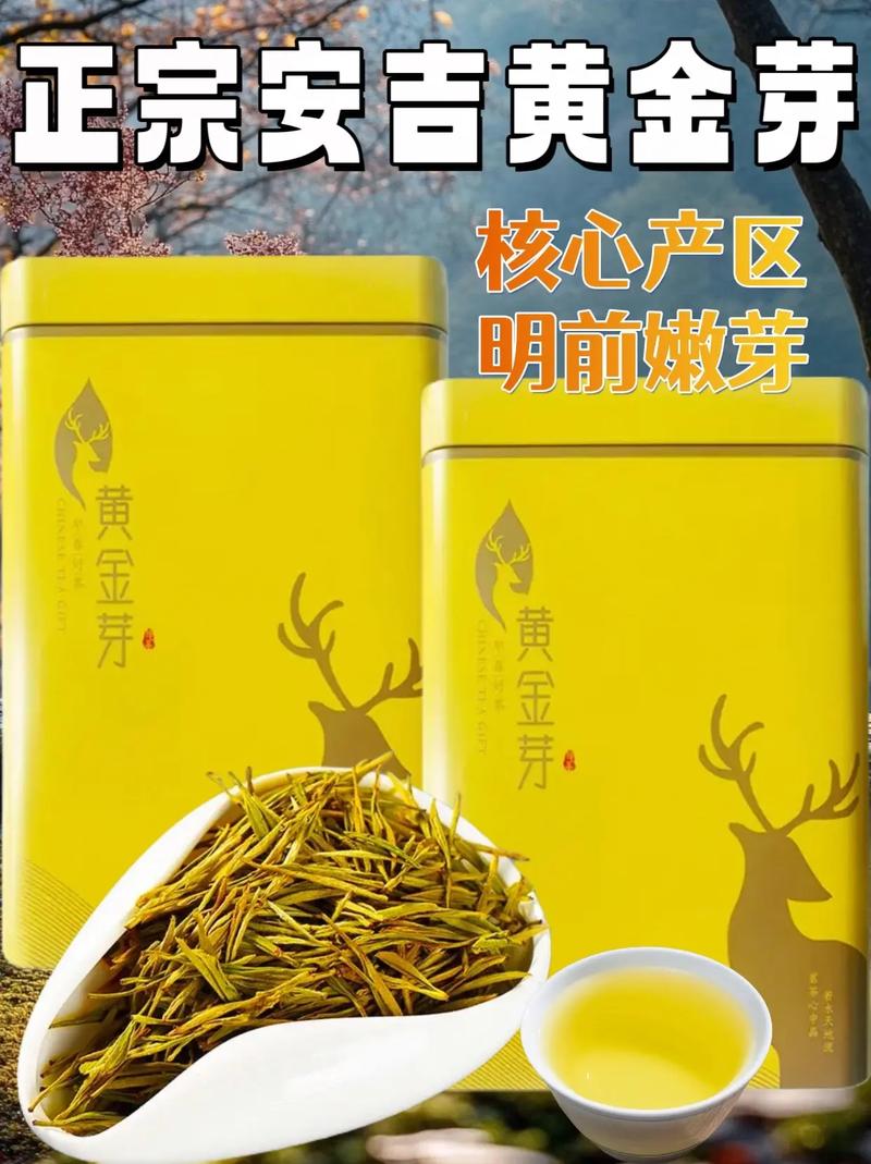 黄金芽,黄金芽茶叶产地哪里最正宗