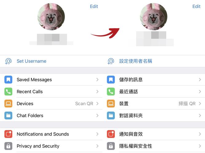 telegeram从哪下载,telegarm中文版下载地址