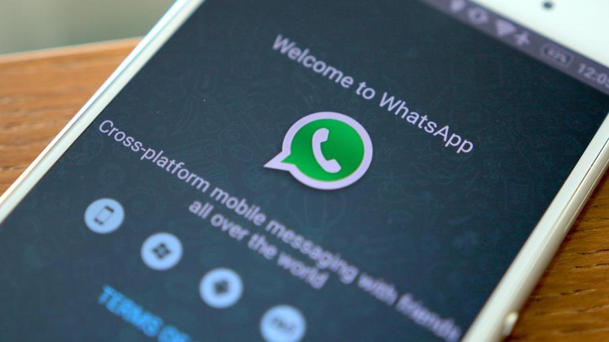 whatsapp官网入口登录,whatsappbusiness官网