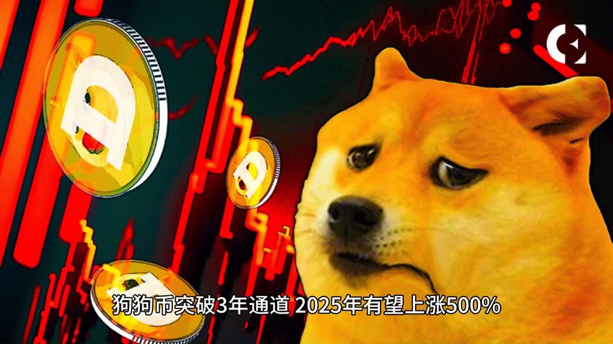 狗狗币2025暴涨,狗狗币2025暴涨3月16