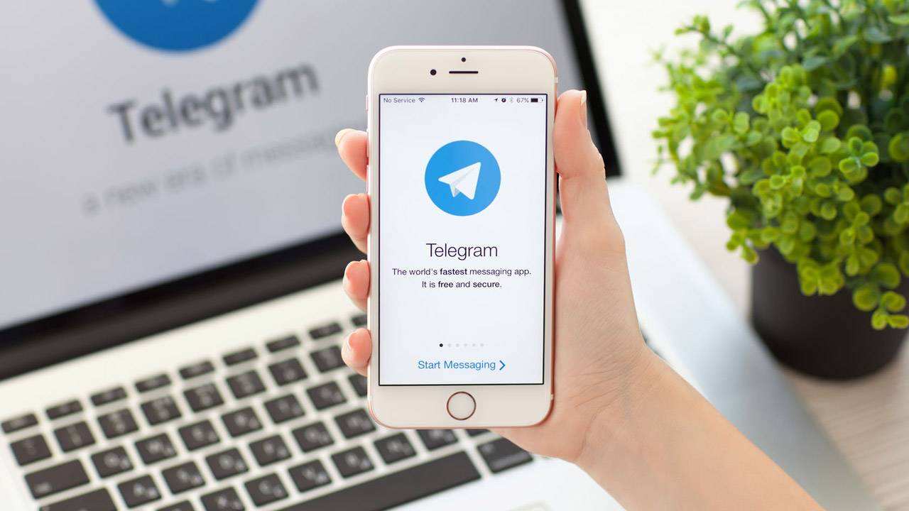 关于Telegram国内手机号如何申请的信息