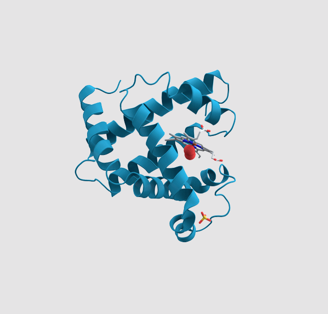 [protein]proteinA