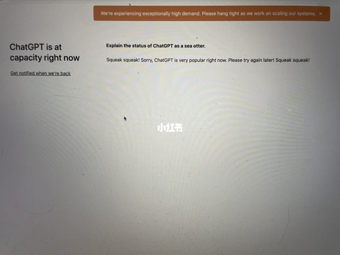 chatgpt哪里下载chat download