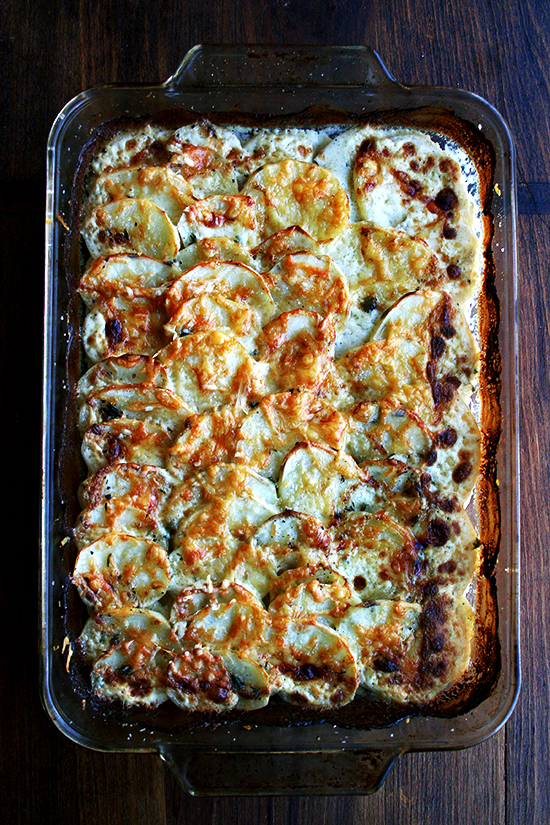 potatopotato chat