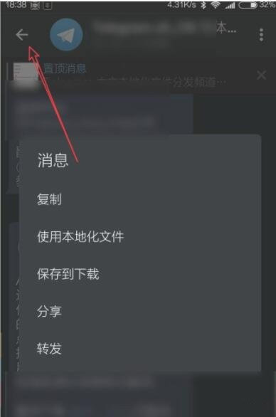 包含telegreat中文版下载为什么没网络的词条