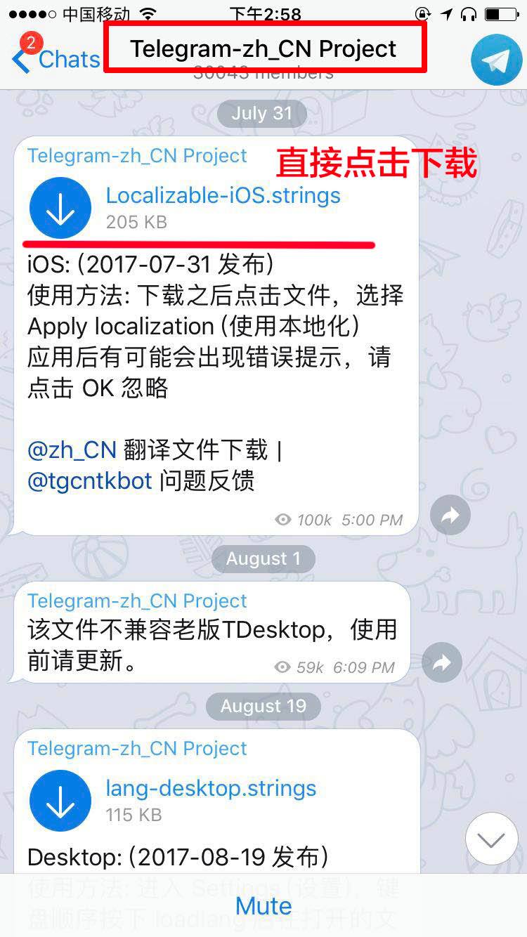 关于Telegram纸飞机ios的信息