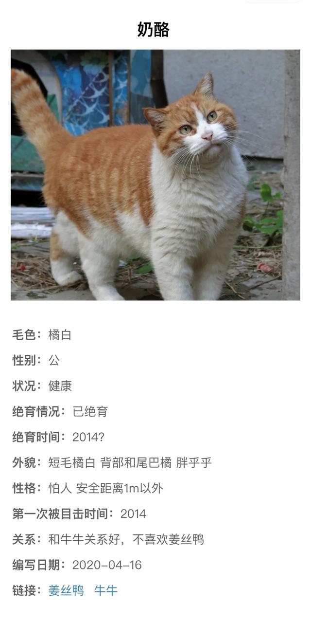 猫咪社区官网址一的简单介绍