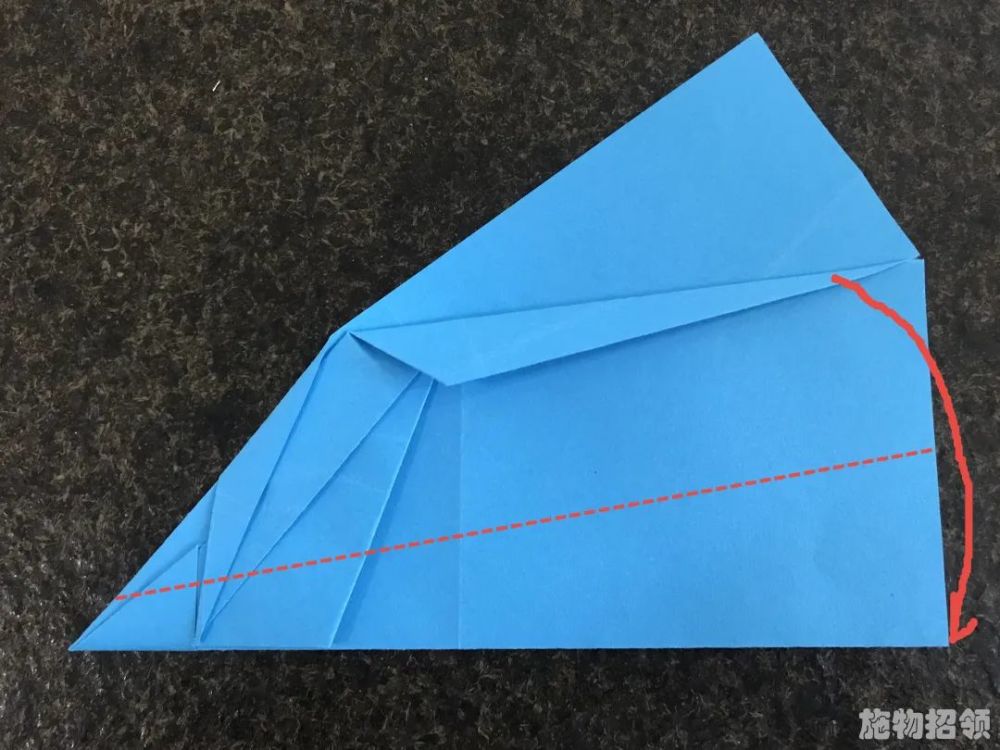 纸飞机哪个会犯法吗[高空放纸飞机违法吗?]