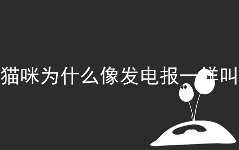 电报搜索机器人账号是什么意思呀怎么弄[电报搜索机器人账号是什么意思呀怎么弄的]