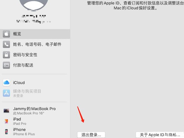 没密码强制退出苹果id[没密码强制退出苹果id ios14]