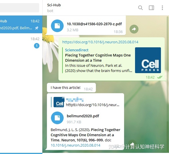 关于telegram汉语插件知乎的信息