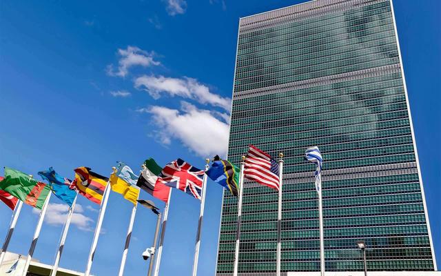 联合国反纳粹决议-联合国反纳粹决议案