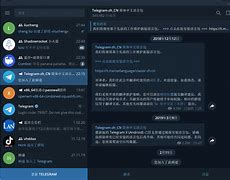 [telegraph汉化教程]telegeram纸飞机下载