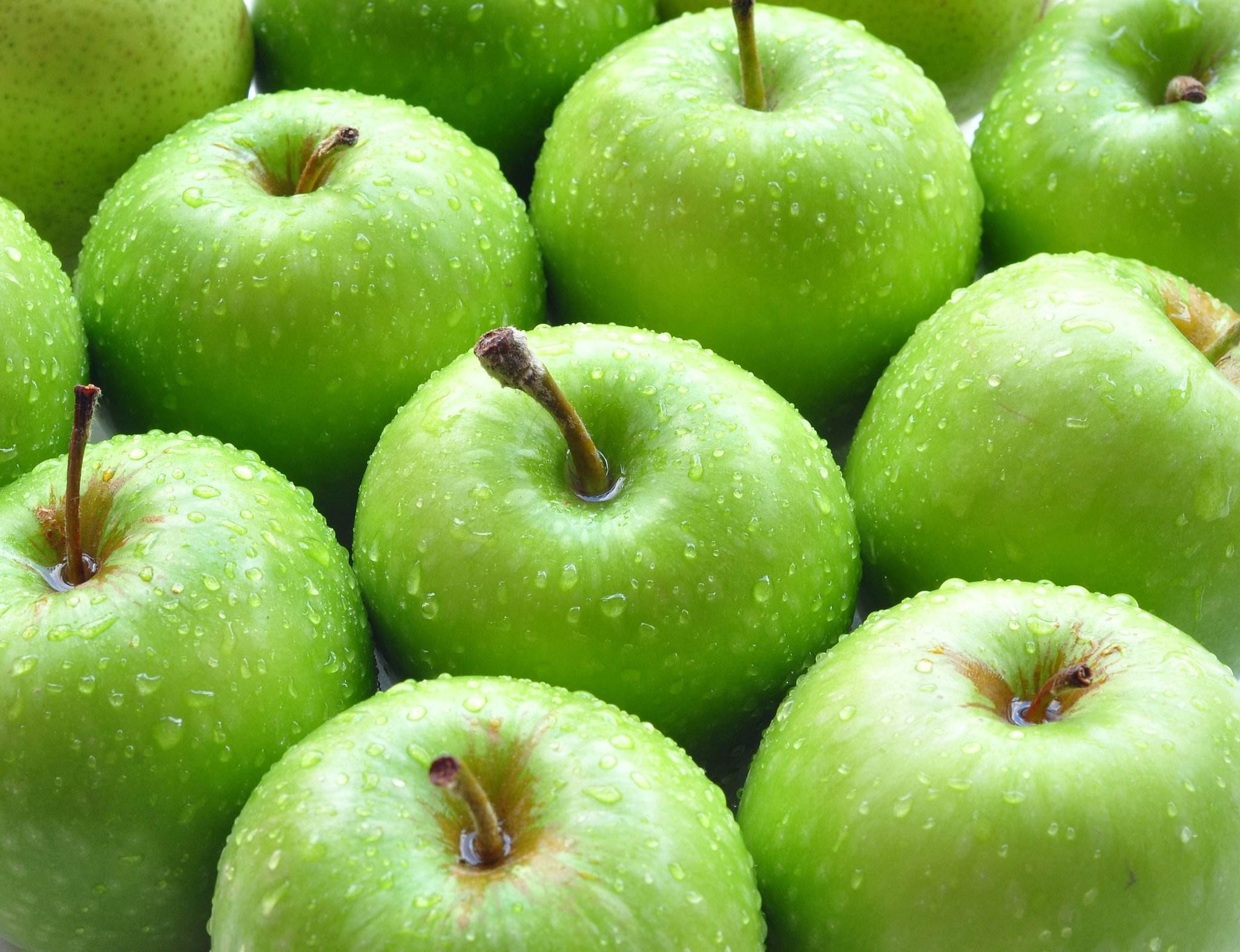 [green苹果版下载]green ios下载