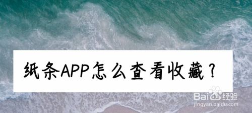 [纸飞机app有收藏夹么]纸飞机app中文版设置方法