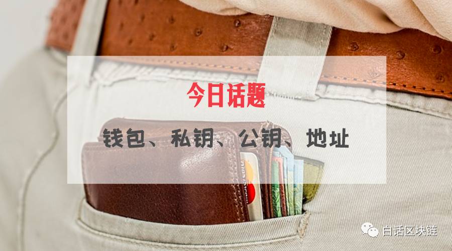 [钱包地址别名是什么]钱包地址别名是什么意思