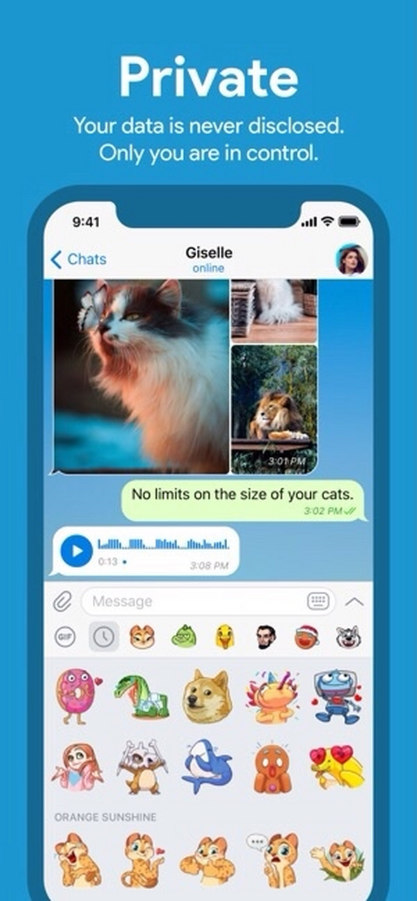 [纸飞机下载社交app]纸飞机下载社交app官网正式版下载