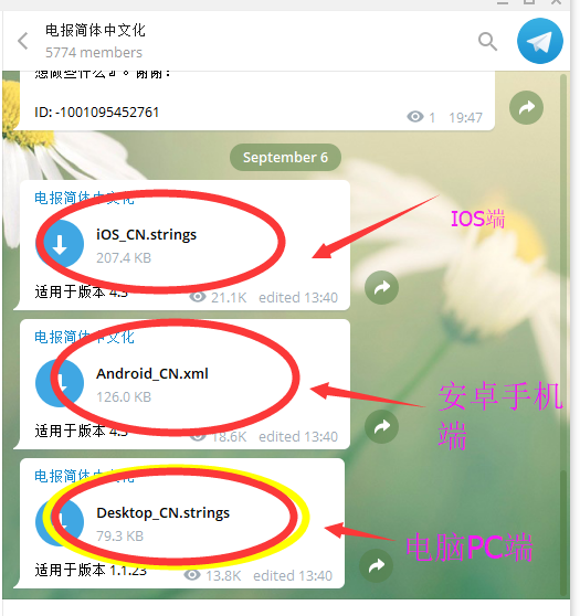 [telegam怎么转换中文]telegran怎么转化中文