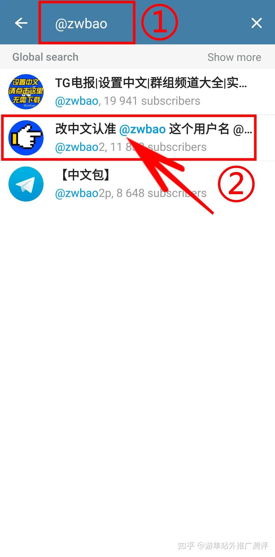 关于Telegram中文官方版下载的信息