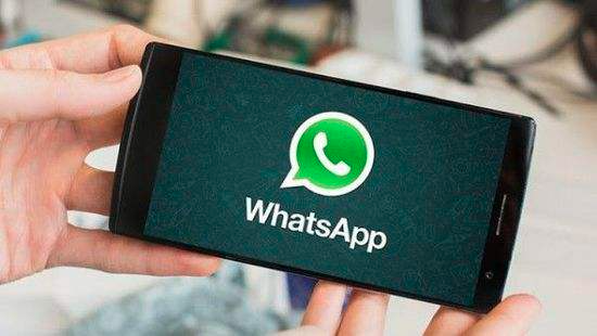 whatsapp官网版下载-whatsapp官网下载安装