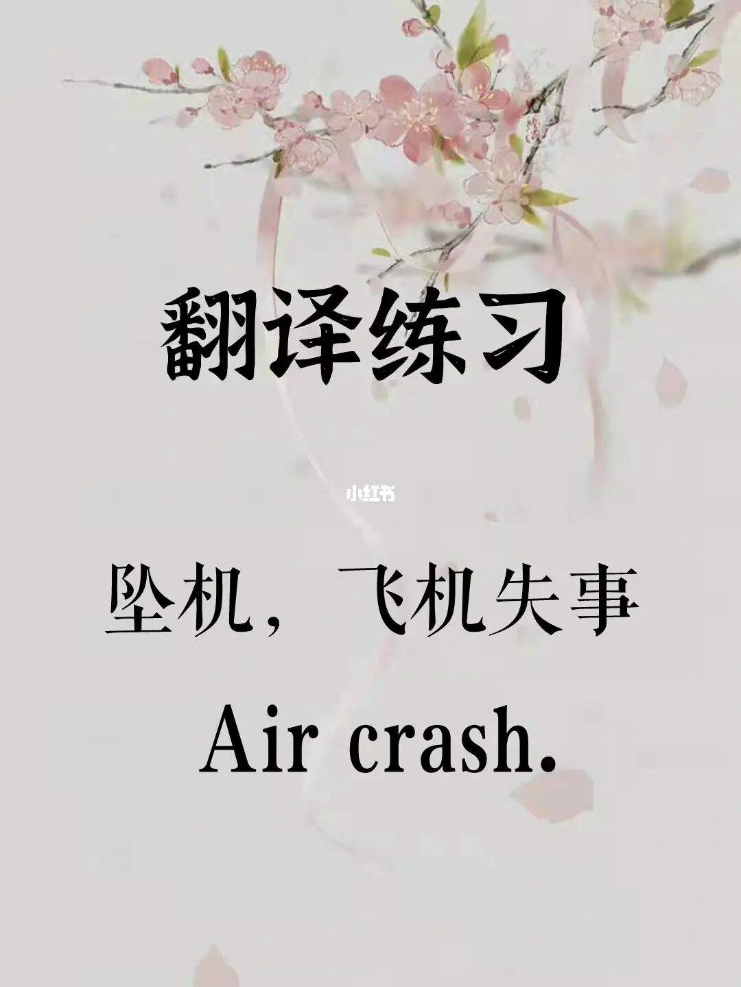 飞机软件怎么翻译成中文-飞机软件怎么翻译成中文的