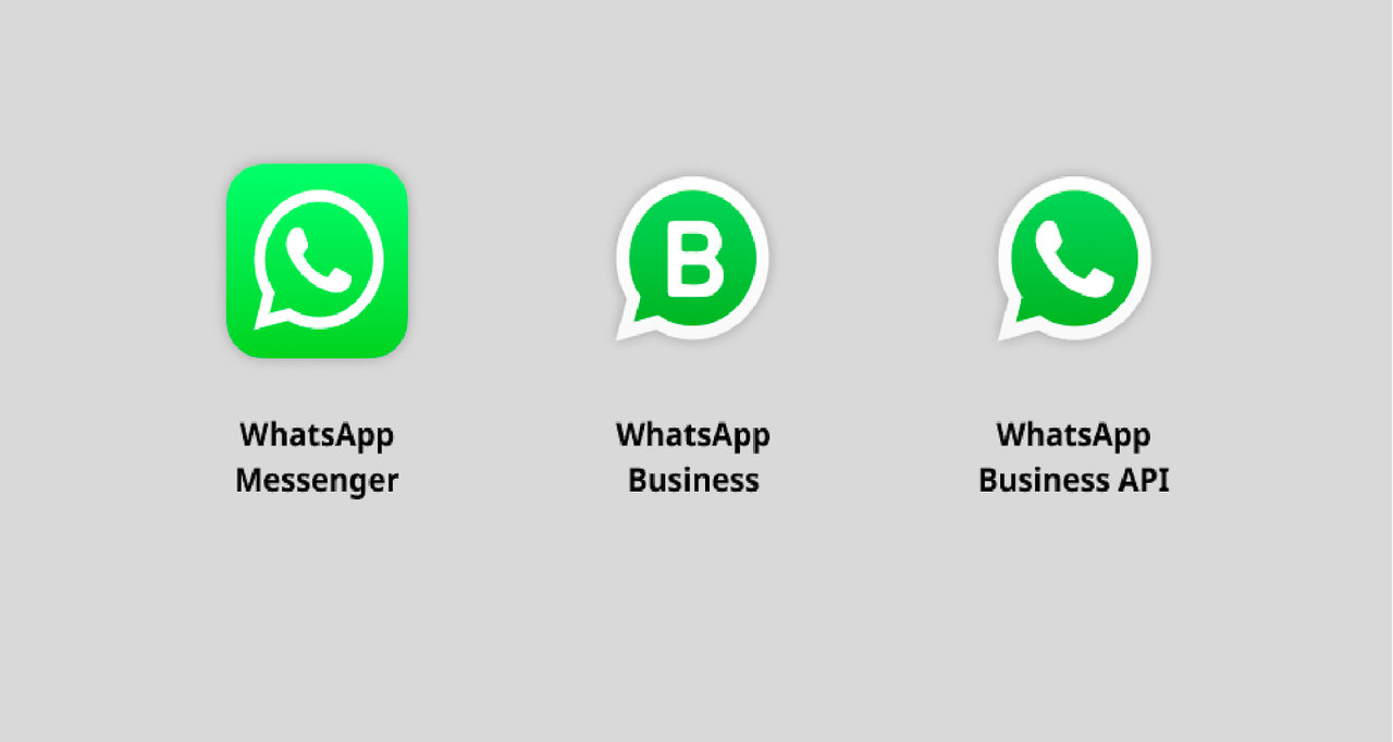 whatsapp检索登陆信息-whatsapp检查太多数字什么情况