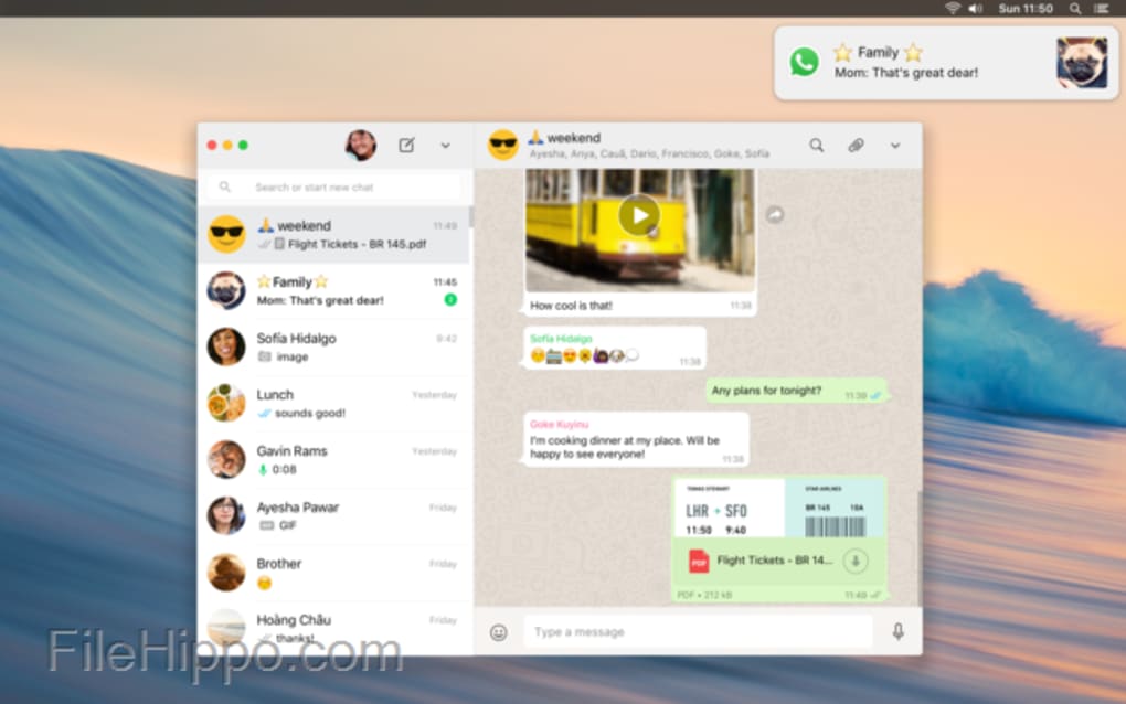 whatsapp安卓最新版本下载-whatsapp最新版安卓手机下载