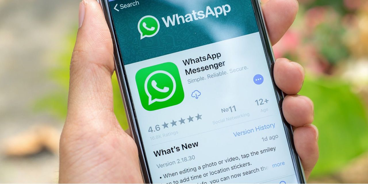 whatsapp怎么说-whatsapp聊天怎么翻译成中文