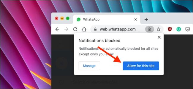 whatsapp正在检查索登录信息怎么解决-whatsapp输入手机号一直在检索登录信息