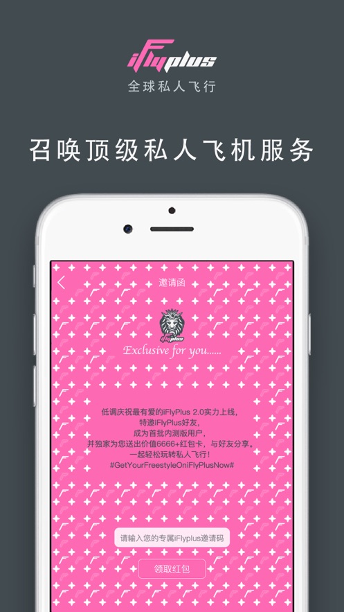 飞机中文版app-飞机中文版app本下载