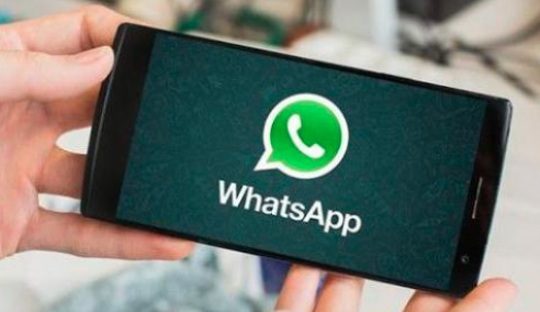 whatsapp安卓版apk-whatsapp安卓版官网下载