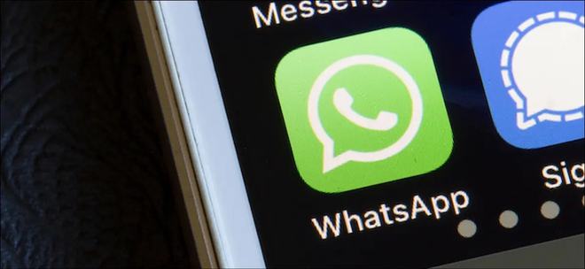 whatsapp聊天只有一个勾-whatsapp发的信息只有一个勾