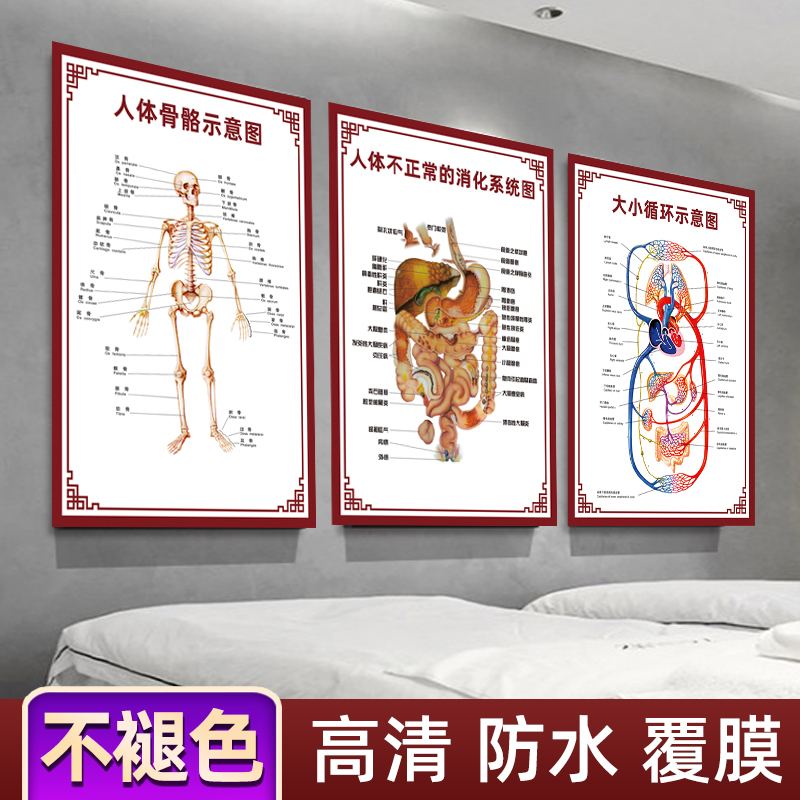 包含身体器官什么部位缩写是TG的词条