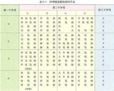 电报码怎么发-电报码有哪几种