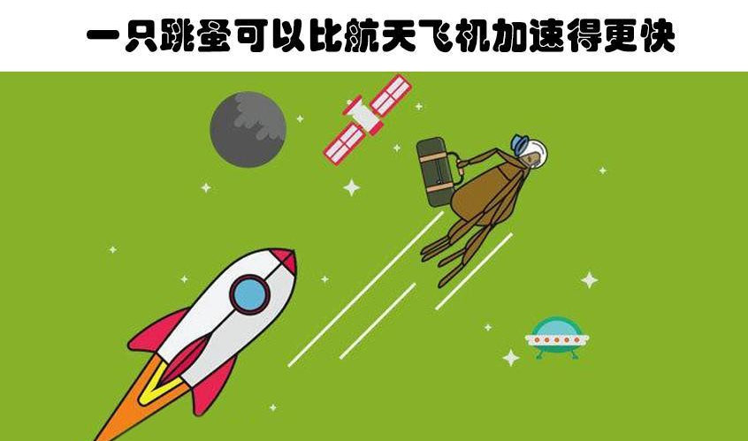 小飞机加速器官网-飞机加速器官网下载