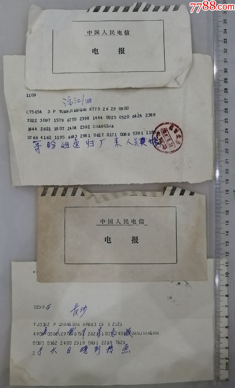 王者电报-王者电报员