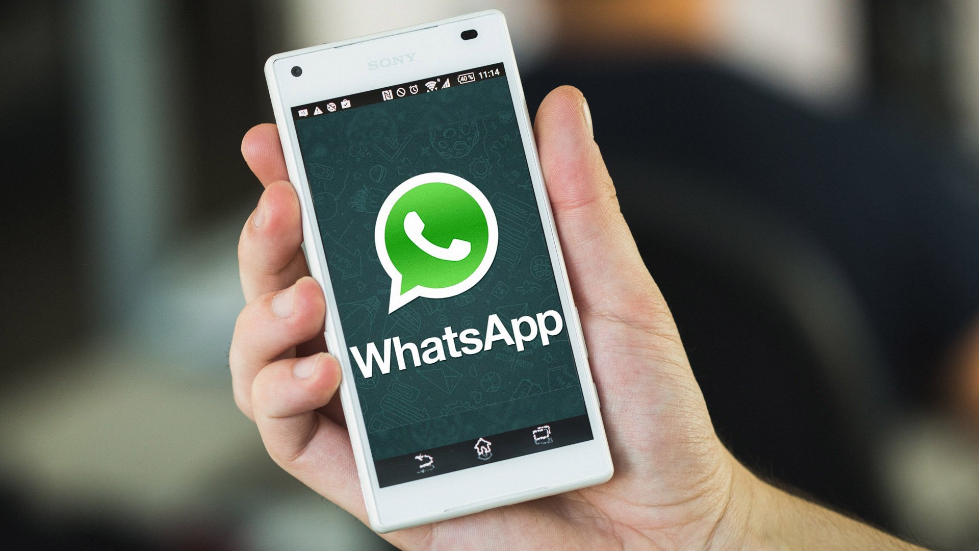 whatsapp苹果版下载最新-whatsapp for iphone download