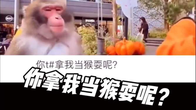 电报猴无消音-电报猴无消音倒放