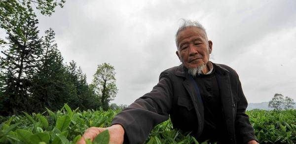 电报员周大爷主页的简单介绍