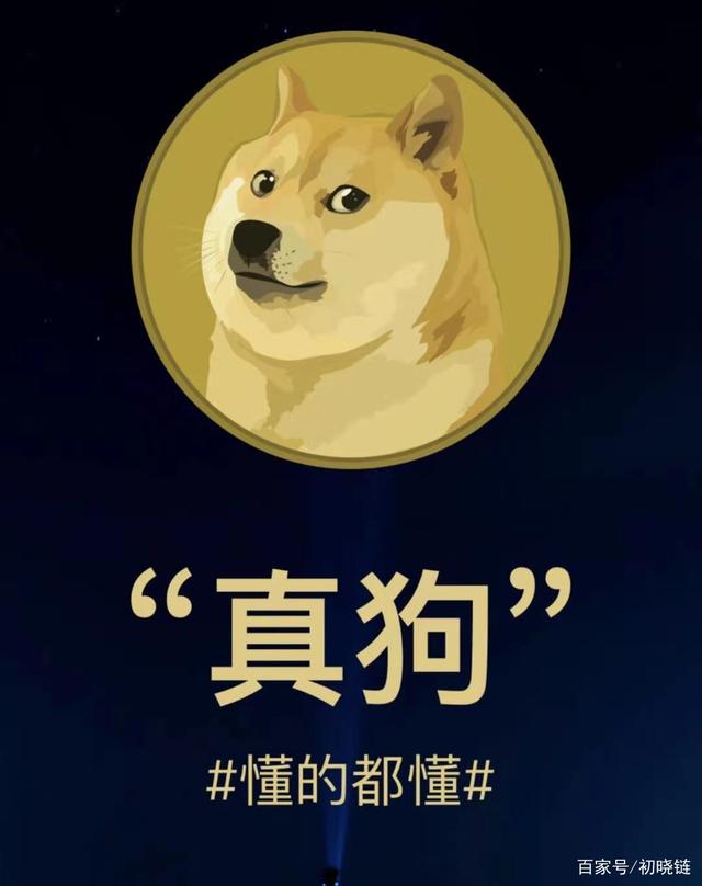 狗狗币-狗狗币十天暴涨450